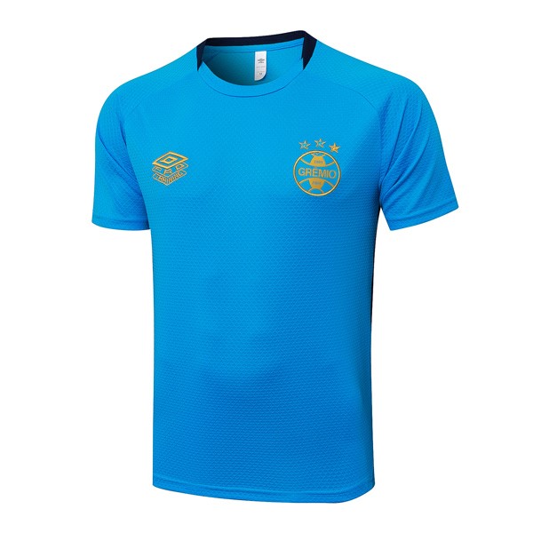 Camiseta Entrenamiento Grêmio FBPA 2025/26 Azul 4